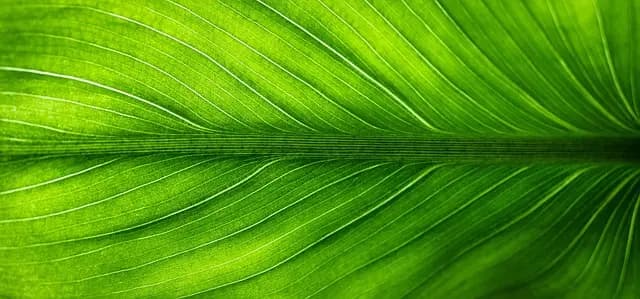 Navigating Influencer Marketing Trends for Sustainable Growth