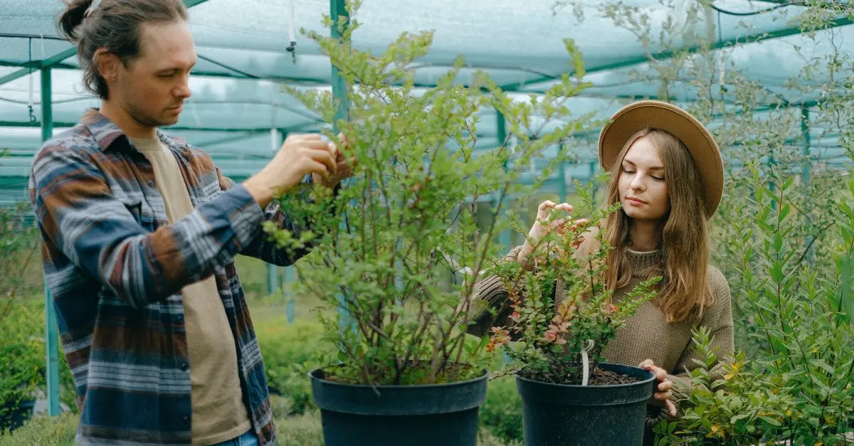 10 Essential Tools Every Influencer Needs to Succeed
