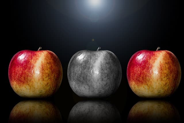 How to Establish Your Niche as an Influencer Successfully